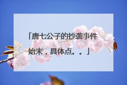 唐七公子的抄袭事件始末,具体点。。