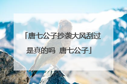 唐七公子抄袭大风刮过是真的吗 唐七公子