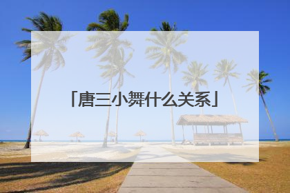 唐三小舞什么关系