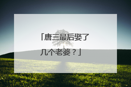 唐三最后娶了几个老婆?