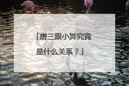 唐三跟小舞究竟是什么关系？