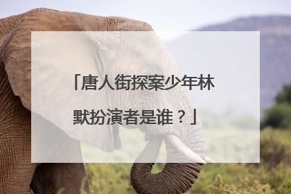 唐人街探案少年林默扮演者是谁？