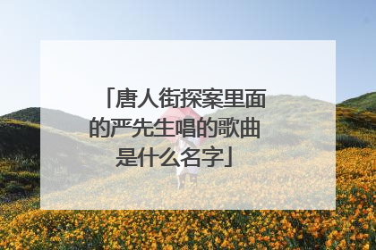 唐人街探案里面的严先生唱的歌曲是什么名字