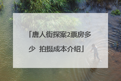 唐人街探案2票房多少 拍摄成本介绍