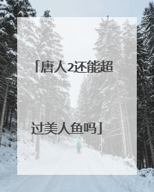 唐人2还能超过美人鱼吗