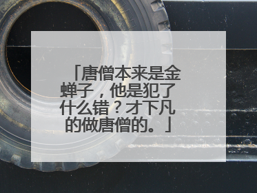 唐僧本来是金蝉子，他是犯了什么错？才下凡的做唐僧的。