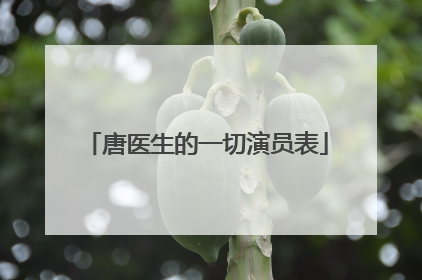 唐医生的一切演员表