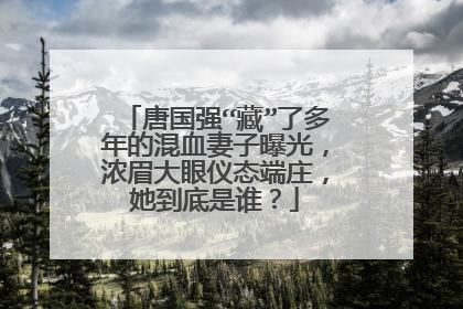 唐国强“藏”了多年的混血妻子曝光,浓眉大眼仪态端庄,她到底是谁?