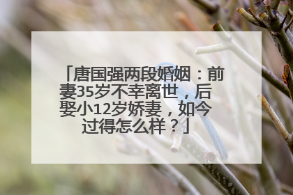 唐国强两段婚姻:前妻35岁不幸离世,后娶小12岁娇妻,如今过得怎么样?