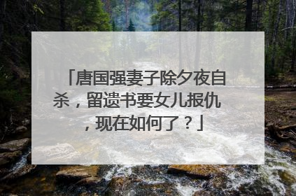 唐国强妻子除夕夜自杀,留遗书要女儿报仇,现在如何了?