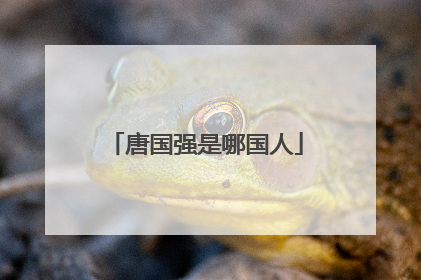 唐国强是哪国人