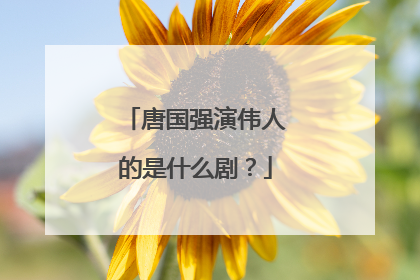 唐国强演伟人的是什么剧？
