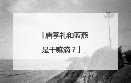 唐季礼和蓝燕是干嘛滴？