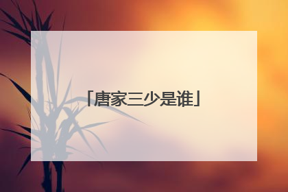 唐家三少是谁