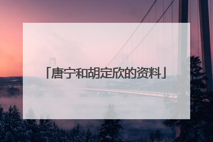 唐宁和胡定欣的资料