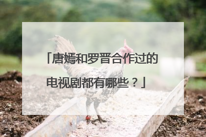 唐嫣和罗晋合作过的电视剧都有哪些？