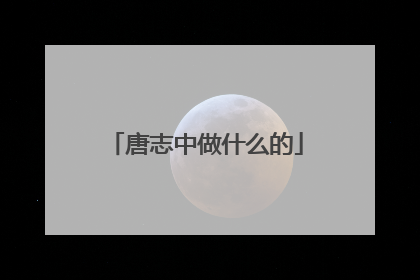 唐志中做什么的