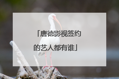 唐德影视签约的艺人都有谁