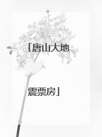 唐山大地震票房