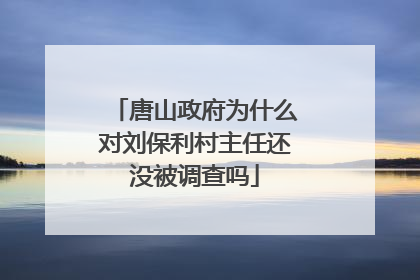 唐山政府为什么对刘保利村主任还没被调查吗