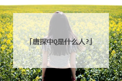 唐探中Q是什么人?