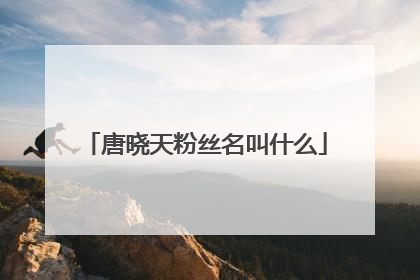 唐晓天粉丝名叫什么