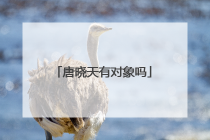 唐晓天有对象吗