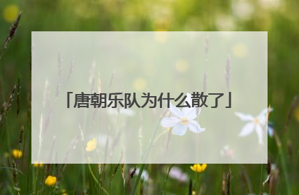 唐朝乐队为什么散了