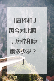 唐梓和丁禹兮对比照，唐梓和康康多少岁？