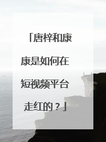 唐梓和康康是如何在短视频平台走红的？