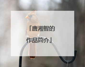 唐湘智的作品简介