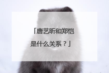 唐艺昕和郑恺是什么关系？