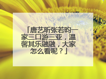 唐艺昕张若昀一家三口游三亚,温馨其乐融融,大家怎么看呢?