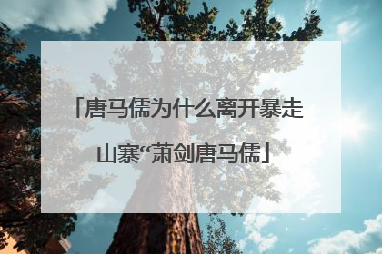 唐马儒为什么离开暴走 山寨“萧剑唐马儒