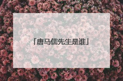 唐马儒先生是谁