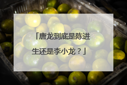 唐龙到底是陈进生还是李小龙？