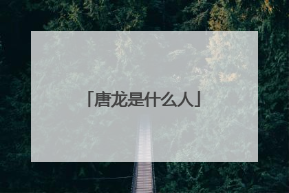 唐龙是什么人