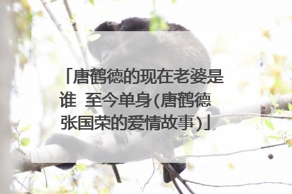 唐鹤德的现在老婆是谁 至今单身(唐鹤德张国荣的爱情故事)