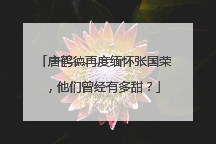 唐鹤德再度缅怀张国荣，他们曾经有多甜？