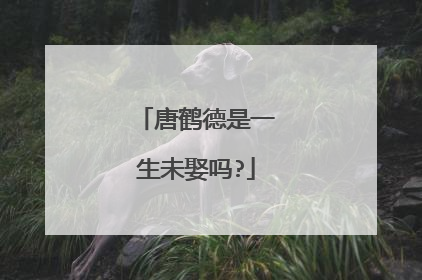 唐鹤德是一生未娶吗?