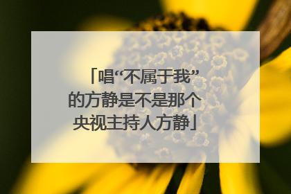 唱“不属于我”的方静是不是那个央视主持人方静