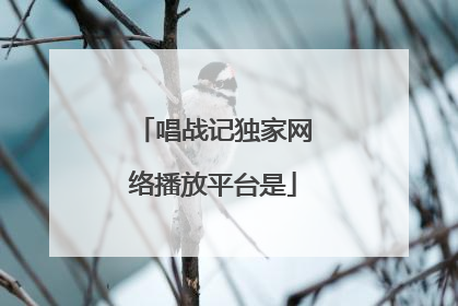 唱战记独家网络播放平台是