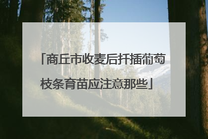 商丘市收麦后扦插葡萄枝条育苗应注意那些