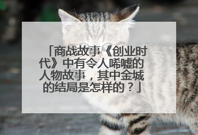 商战故事《创业时代》中有令人唏嘘的人物故事,其中金城的结局是怎样的?
