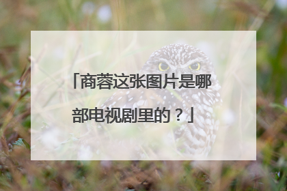 商蓉这张图片是哪部电视剧里的？