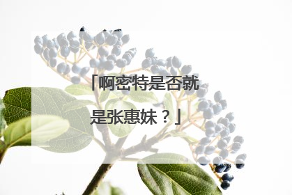 啊密特是否就是张惠妹？