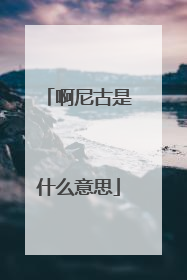 啊尼古是什么意思