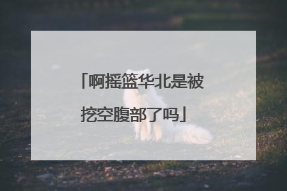 啊摇篮华北是被挖空腹部了吗