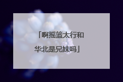 啊摇篮太行和华北是兄妹吗