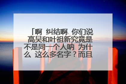 啊 纠结啊 你们说 高昊和叶祖新究竟是不是同一个人呐 为什么 这么多名字?而且 弄的我都不确定了